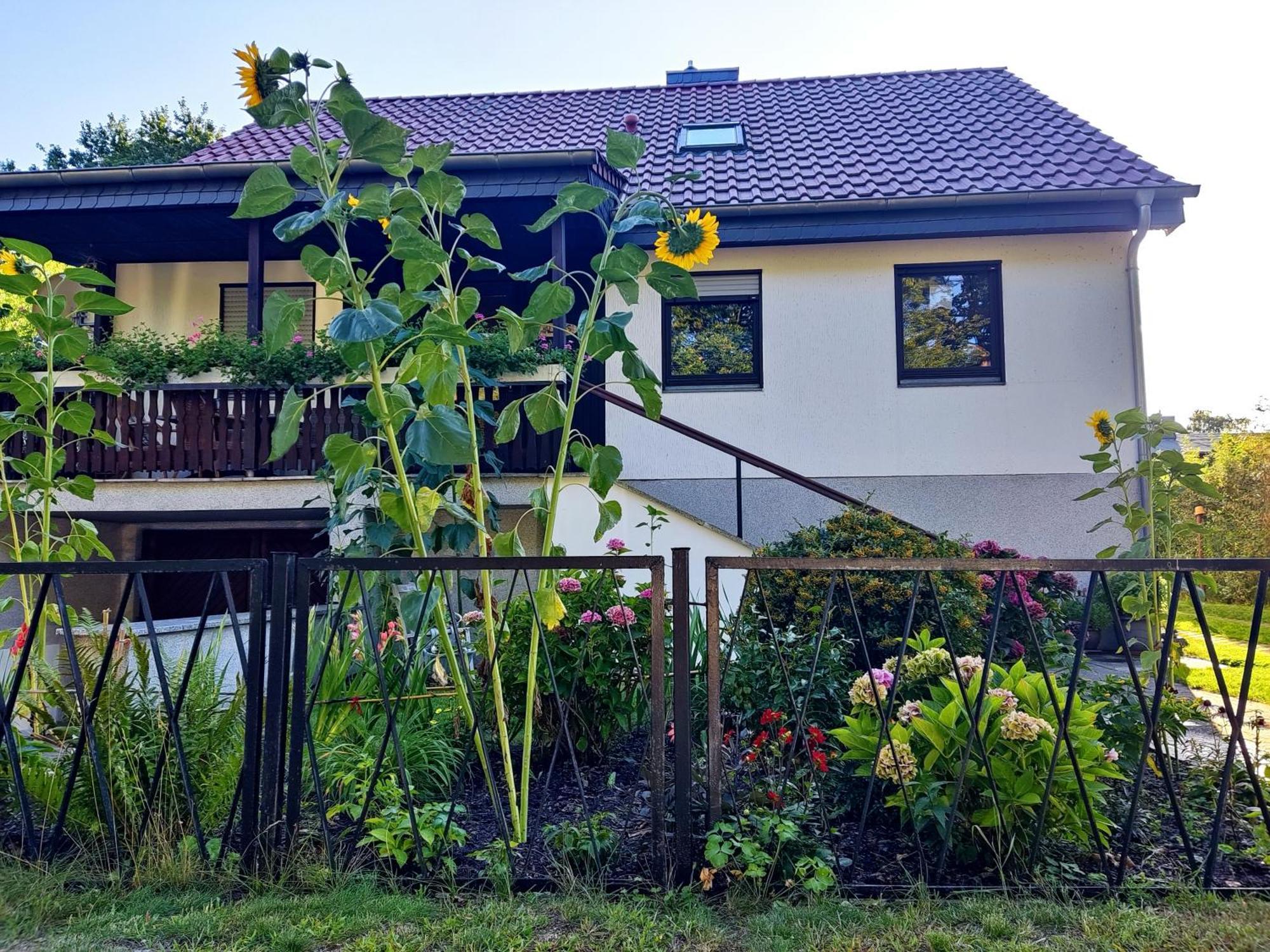 Waldhus Villa Uckeritz Dış mekan fotoğraf