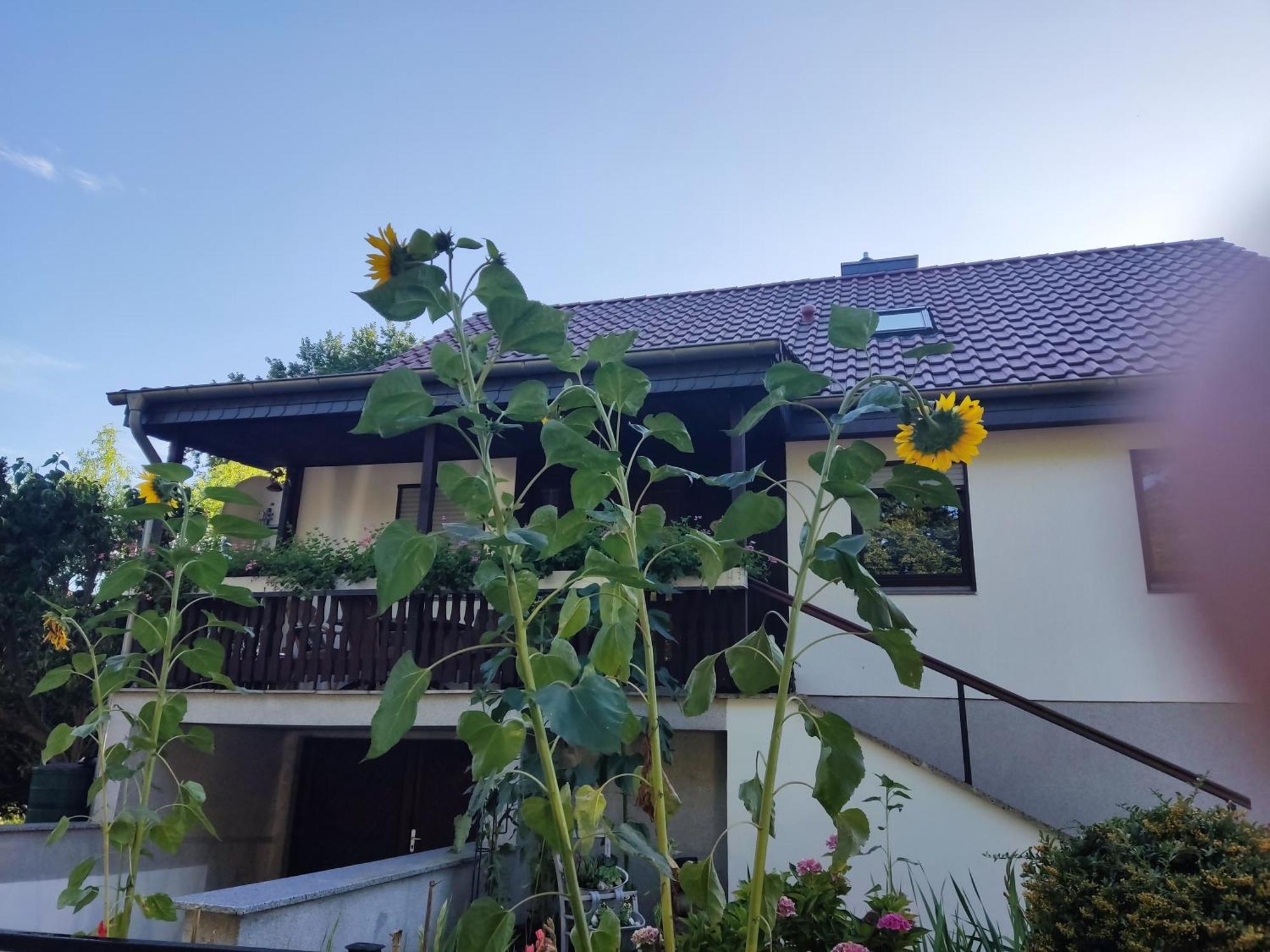Waldhus Villa Uckeritz Oda fotoğraf